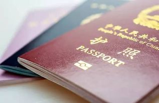 “中国行”热情高涨 浦东机场外国游客入境忙